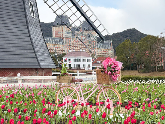 フラワーロード ピンク色の自転車 フラワーロード ピンク色の自転車