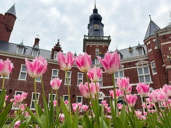 ナイアンローデ城前花壇