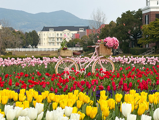 フラワーロード