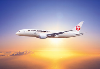 Jl_new_787_dreamliner_image