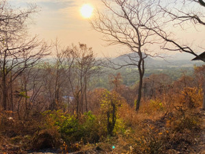 Photo_20260224_142236