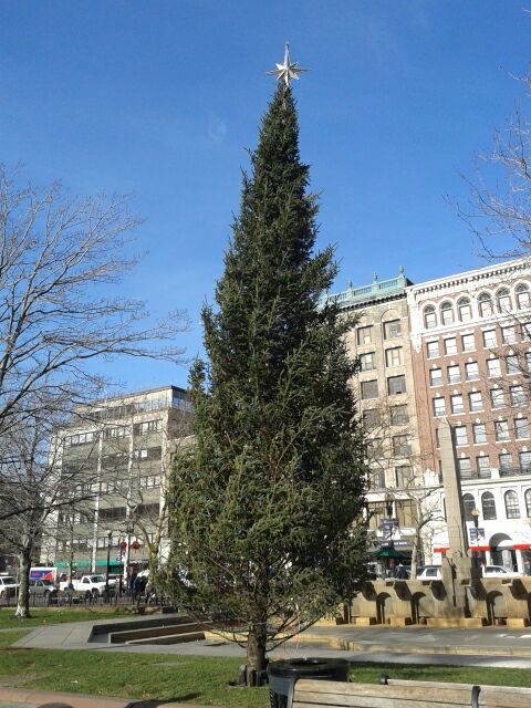 20141204_110543