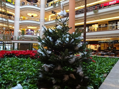 Photo_26