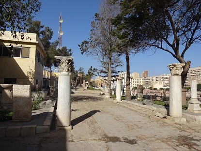 Photo_7