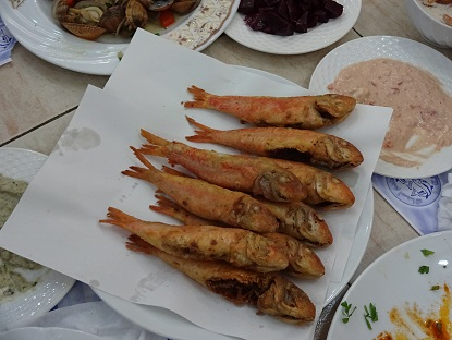 Photo_15