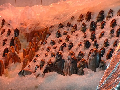 Photo_7