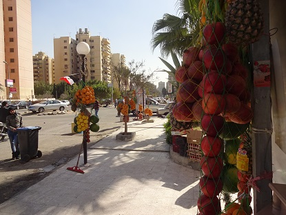 Photo_14