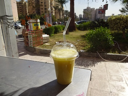 Photo_15