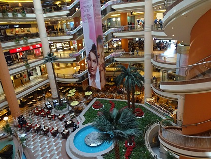 Photo_5