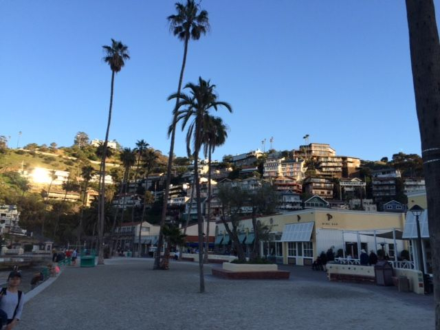 Catalina_view