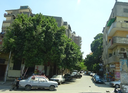 Photo_4