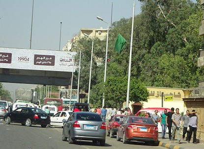 Photo_15