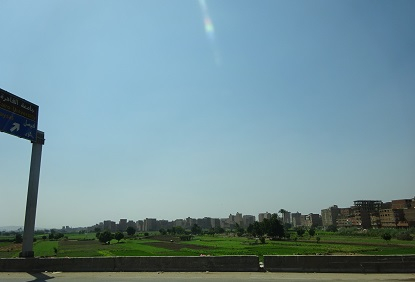 Photo_8