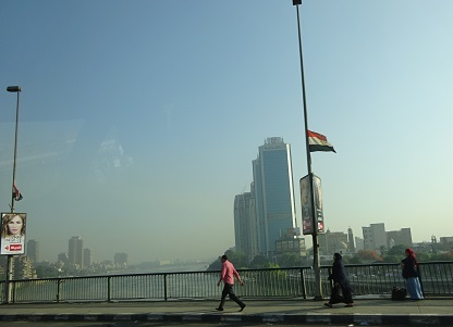 Photo_15