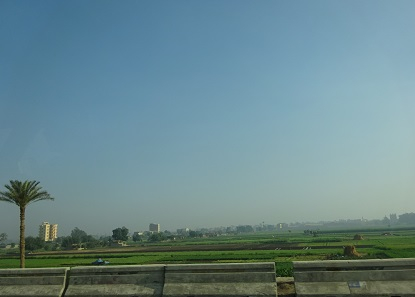 Photo_20