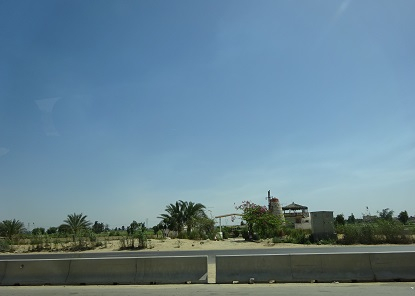 Photo_11