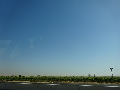 Photo_4