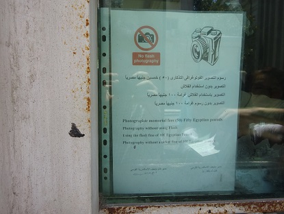 Photo_10