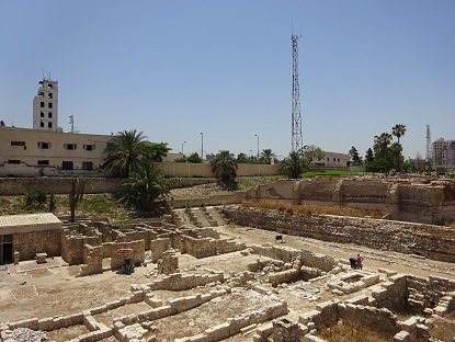 Photo_7
