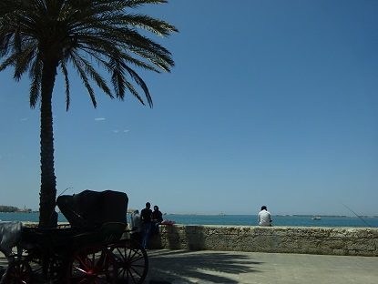 Photo_15