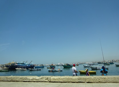 Photo_26