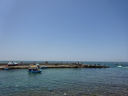 Photo_36