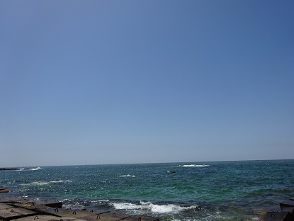 Photo_39