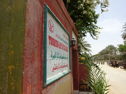 Photo_11