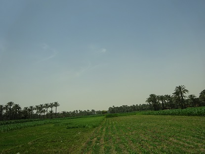 Photo_9