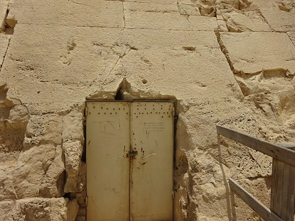 Photo_11
