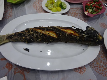 Photo_14