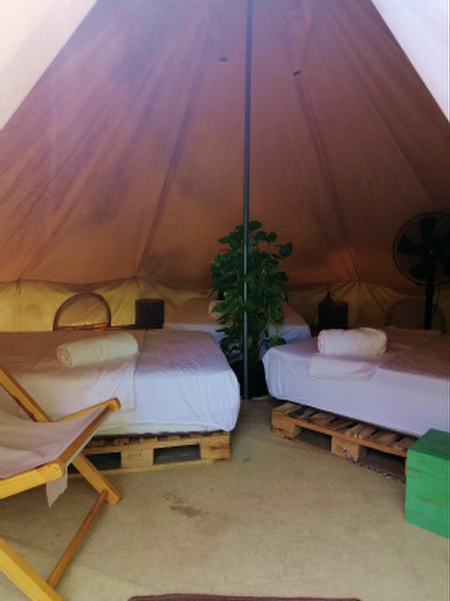 Roost_glamping3