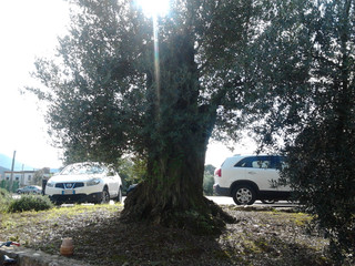 20141108_122324