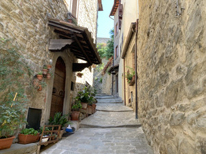 Cortona3_202108