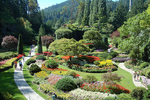 Butchartgarden06