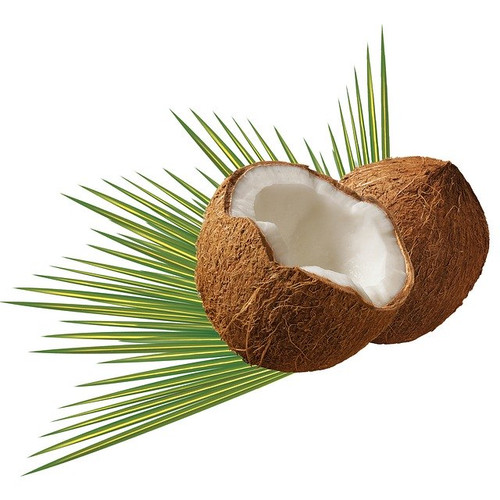 Coconut979858_640