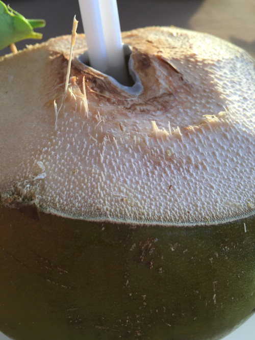 Coconuts_2_2