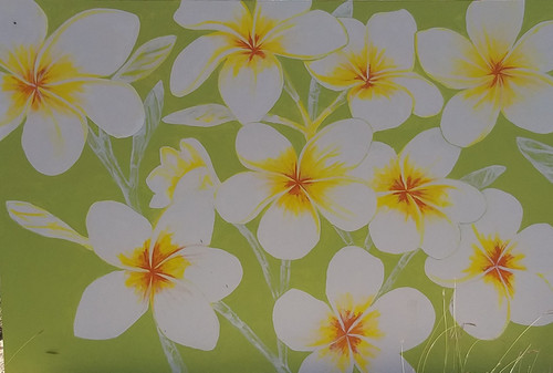 Plumeria_fabric