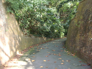 Wwic_1