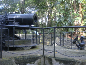 Wwic_11