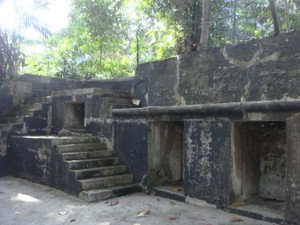 Wwic_13