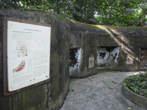 Wwic_3