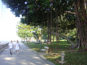 Wwic_6