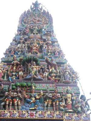 Pongal_8 Pongal_8