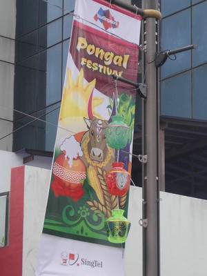 Pongal_9