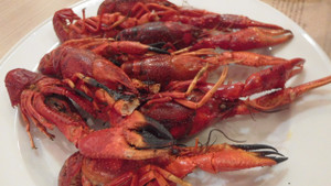 Buffet_others_2