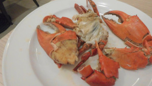Rock_salt_crab