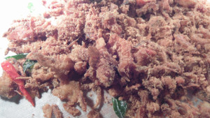 Softshell_crab