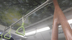 Tree_mrt_1