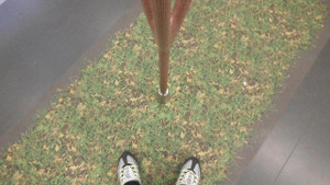 Tree_mrt_4